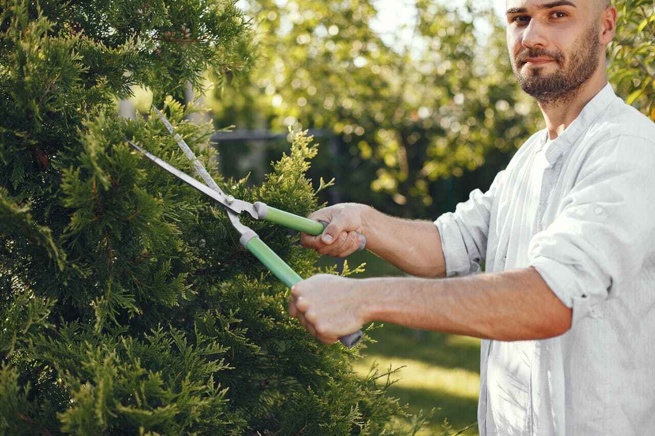 Best Tree Pruning Services  in Good Hope, AL